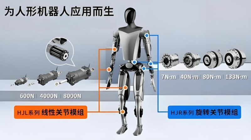 人形機(jī)器人關(guān)節(jié)驅(qū)動(dòng)電機(jī)部位展示圖