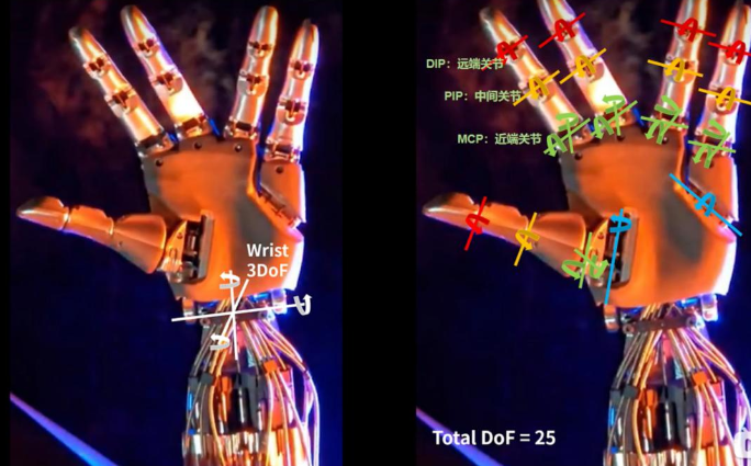 靈巧手自由運動-36氪 特斯拉