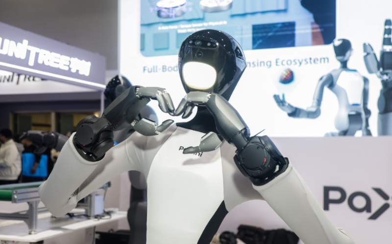 人形機(jī)器人圖