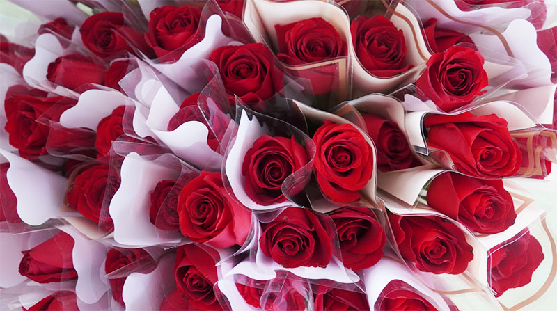 致敬女性力量：做不被定義的“她”！