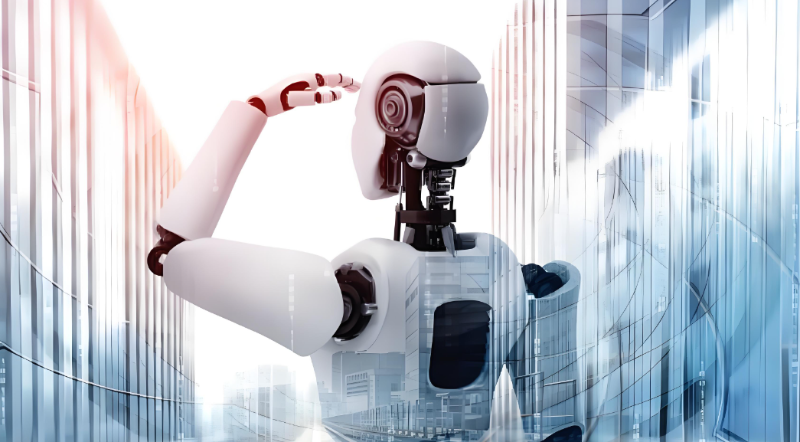 人形機(jī)器人